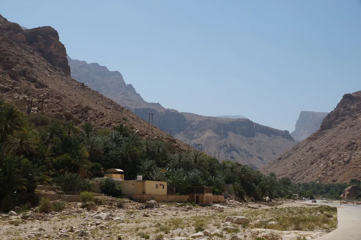 Date palm groves and a village road in the lower part of Wadi Tiwi below steep brown mountains